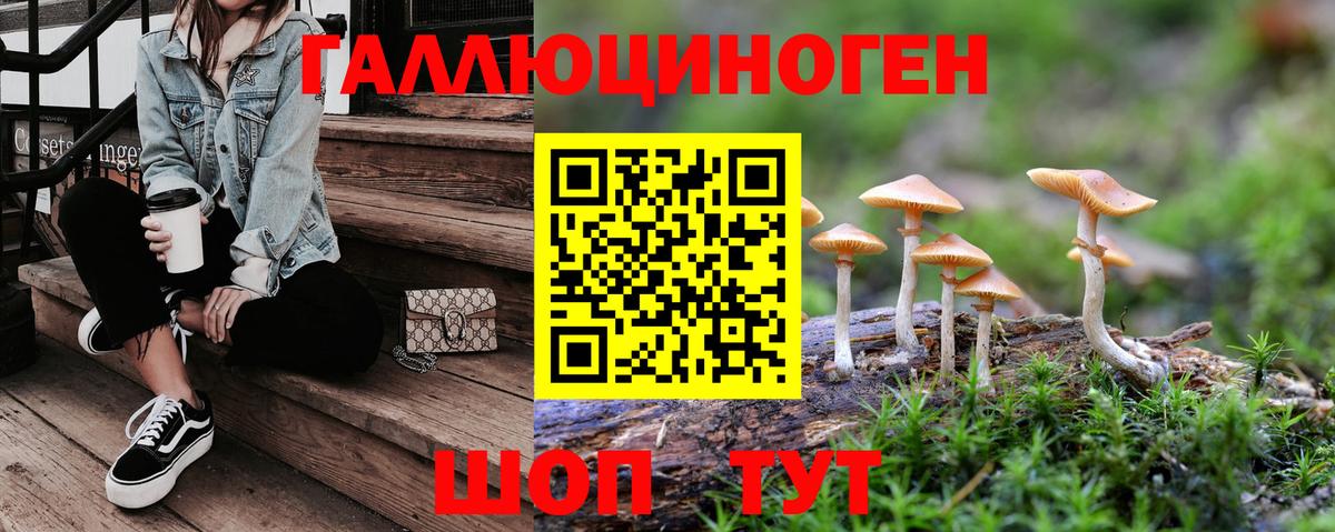 Галлюциногенные грибы Cubensis  Вход с VPN  Балаково  Псилоцибиновые грибы прущие грибы 